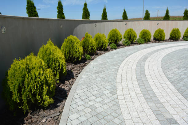 Best Driveway Paving Contractor  in Aubrey, TX